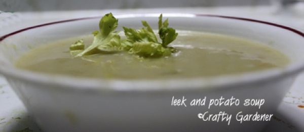 leek and potato soup at craftygardener.ca