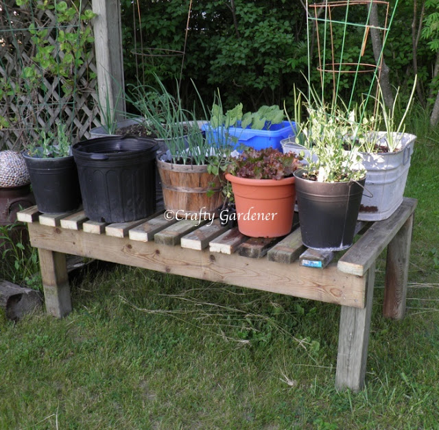 plant tables at craftygardener.ca