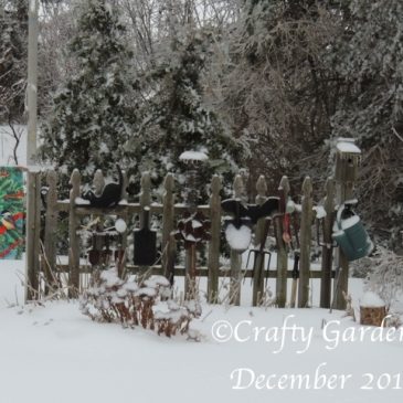 The Fence Garden in December