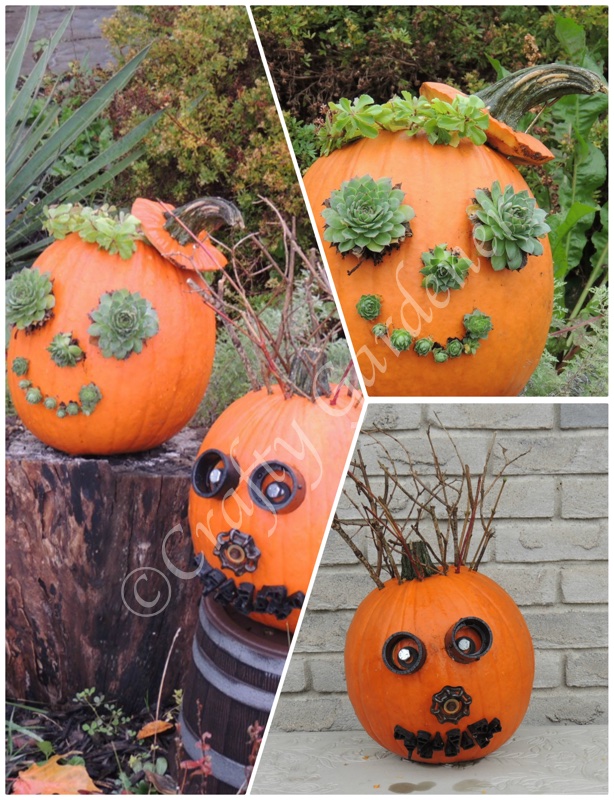 the pumpkin heads at craftygardener.ca