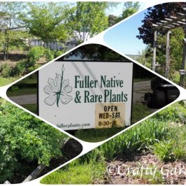 Fuller Native & Rare Plants