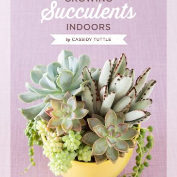 Garden Books – Growing Succulents Indoors