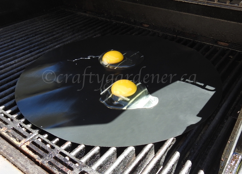 cooking fried eggs on the bbq at craftygardener.ca