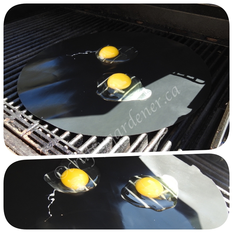 cooking fried eggs on the bbq at craftygardener.ca