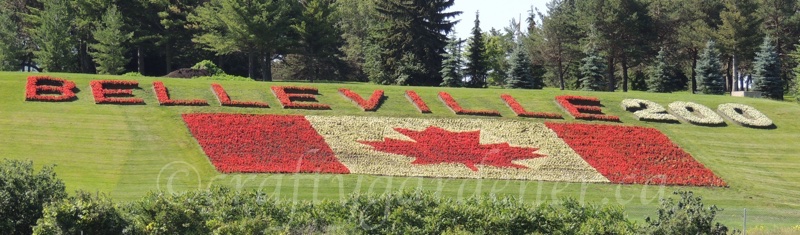 floral display for Belleville, Ontario 200th birthday at craftygardener.ca