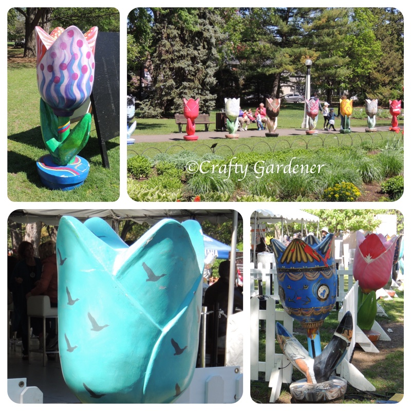 Ottawa tulip festival 2015