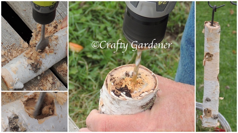 a birch log suet feeder at crafty.gardener.ca