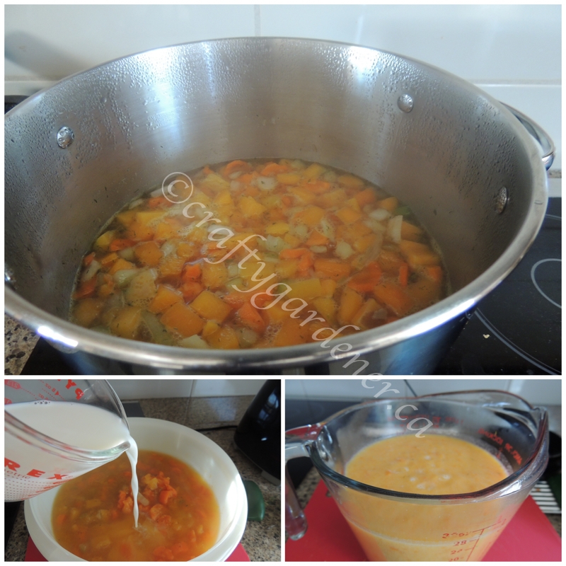 making carrot and squash soup at craftygardener.ca