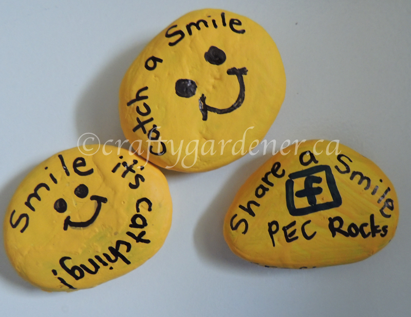 catch a smile, share a smile at craftygardener.ca