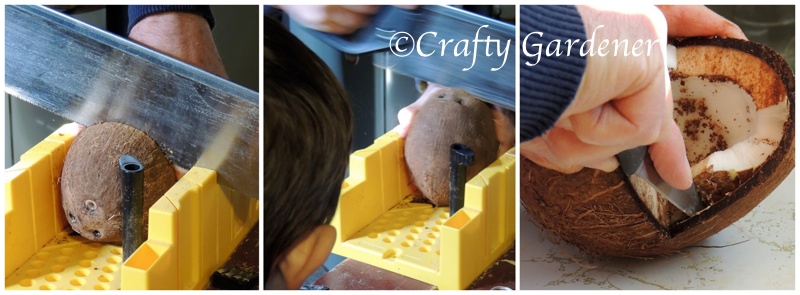 how to make a coconut feeder at craftygardener.ca