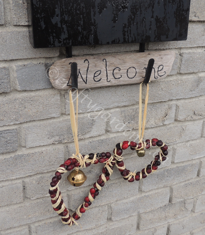 how tomake a cranberry wreath at craftygardener.ca