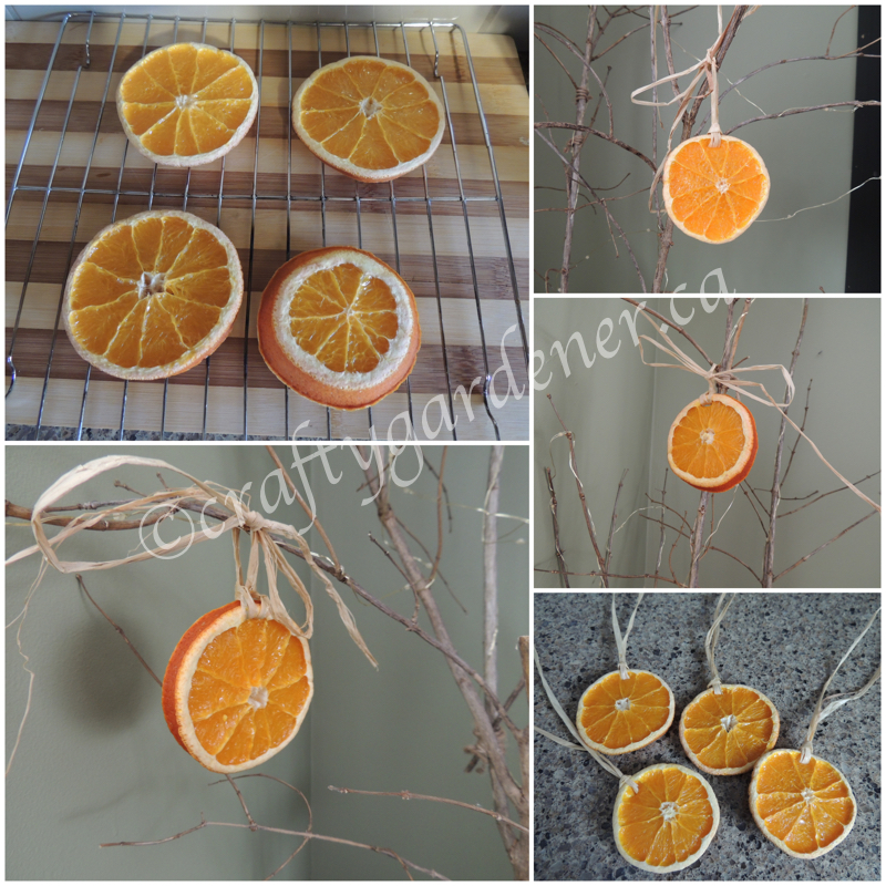 how to make dried orange slices at craftygardener.ca