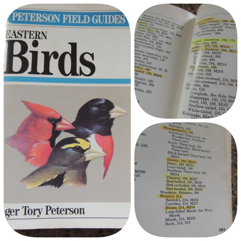 favourite bird books at craftygardener.ca