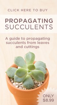 Garden Books – Propagating Succulents