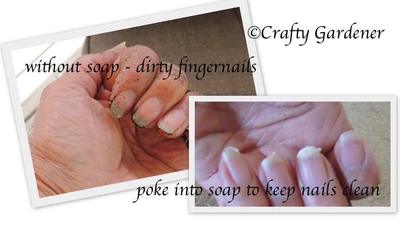 a hint for keeping fingernails clean at craftygardener.ca