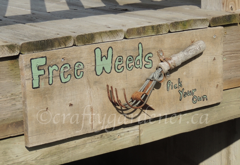 how to make a free weeds sign at craftygardener.ca