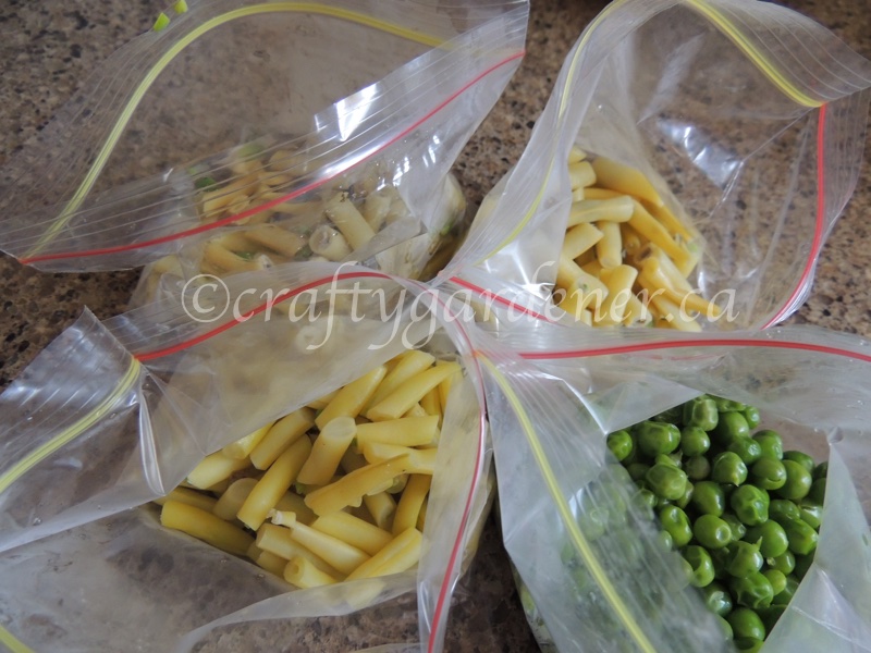 freezing serving sized portions of peas and beans at craftygardener.ca