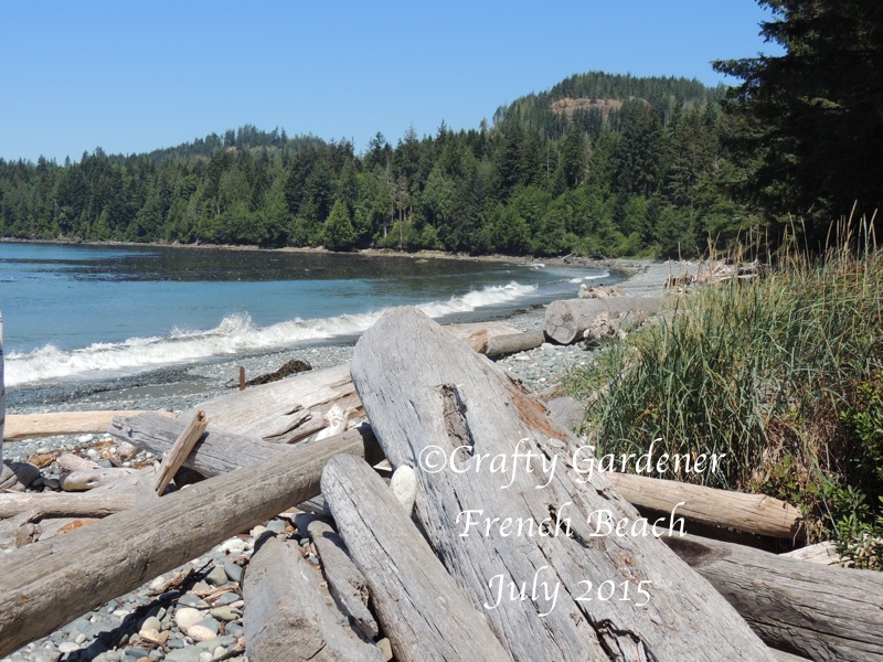 French Beach, Vancouver Island, British Columbia July 2015
