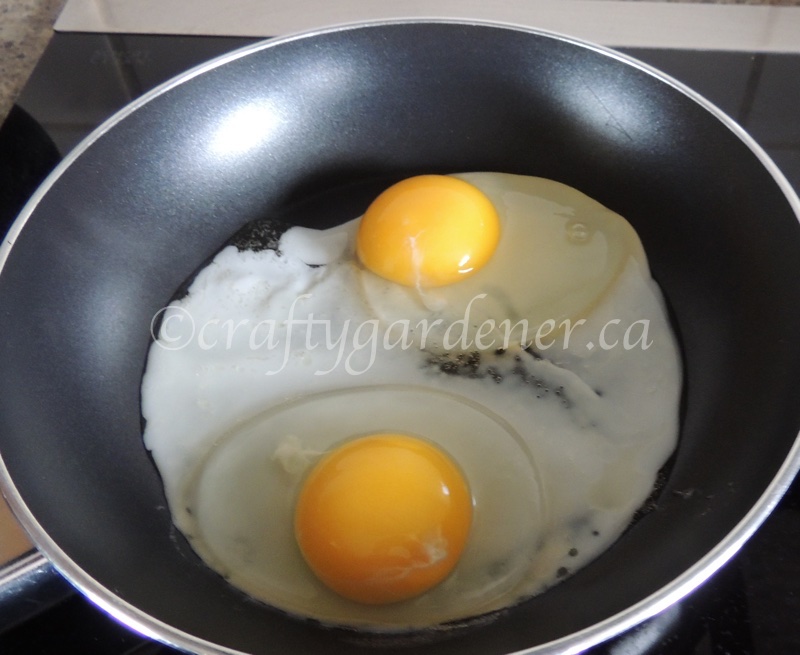 cooking perfect fried eggs at craftygardener.ca