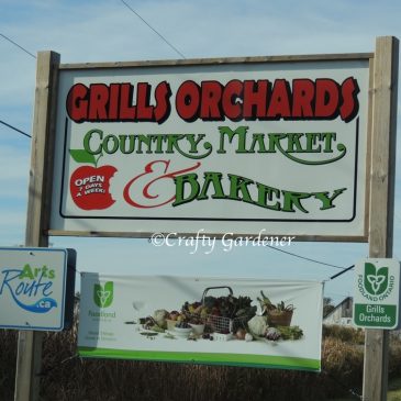 Grills Orchard