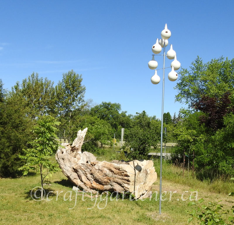 a visit to the Cobourg Ecology Garden by craftygardener.ca