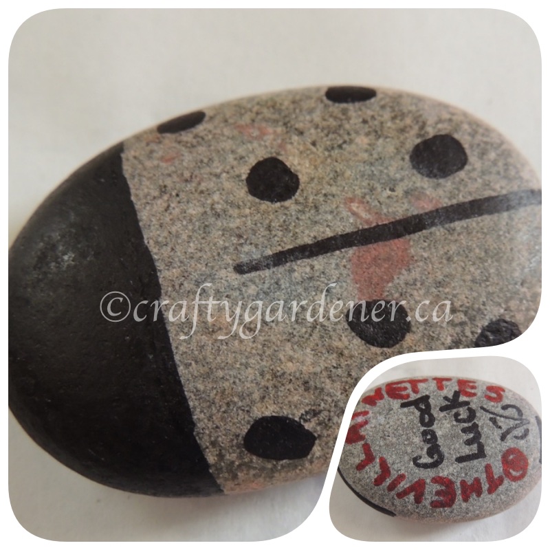 a rock from the Cobourg Ecology Garden by craftygardener.ca
