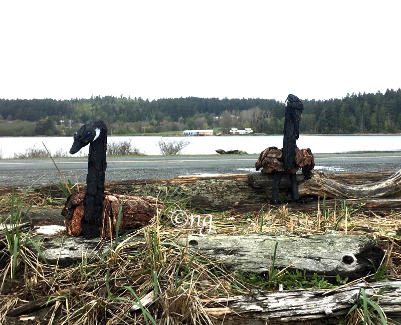 amazing beach sculptures at the Esquialt Lagoon win British Columbia, Canada