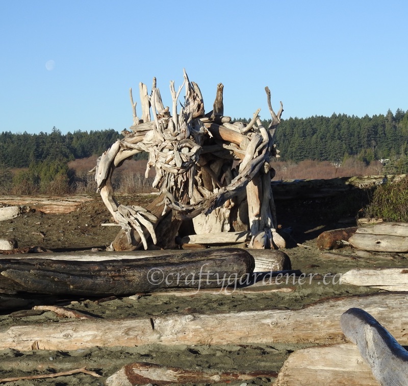 The McGnarly sculpture at the Esquimalt Lagoon in British Columbia