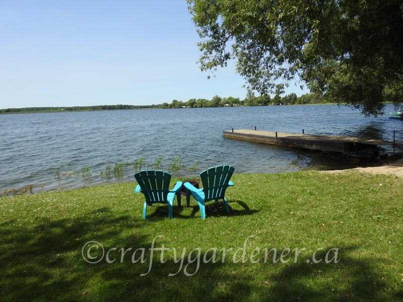 views at the cottage from craftygardener.ca