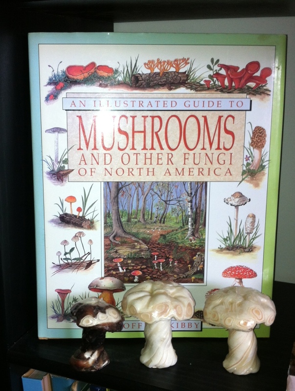 mushrooms6