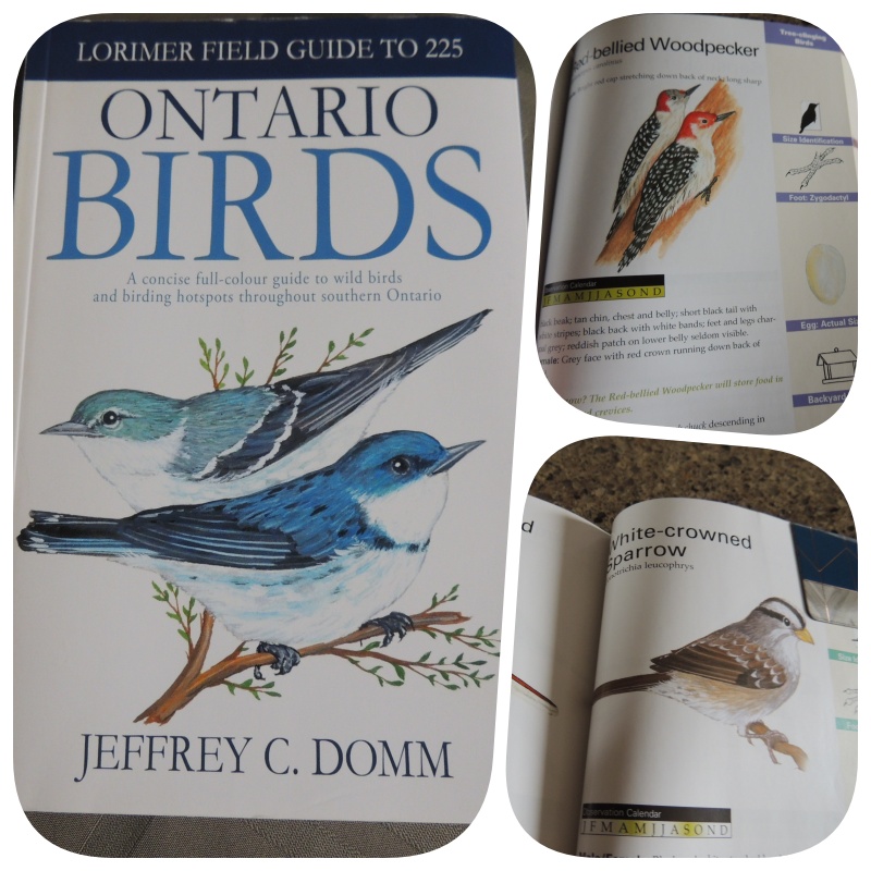 favourite bird books at craftygardener.ca