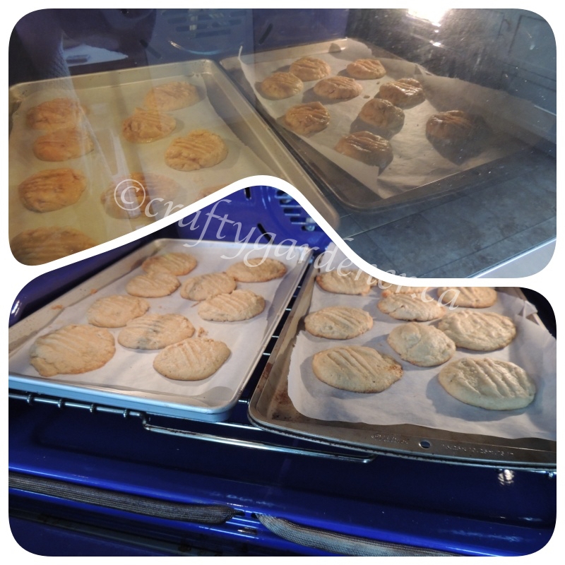 making peanut butter cookies at craftygardener.ca