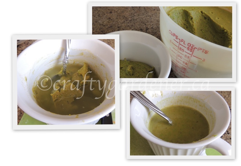 making green pea soup at craftygardener.ca