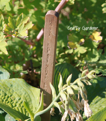punched plant marker at craftygardener.ca