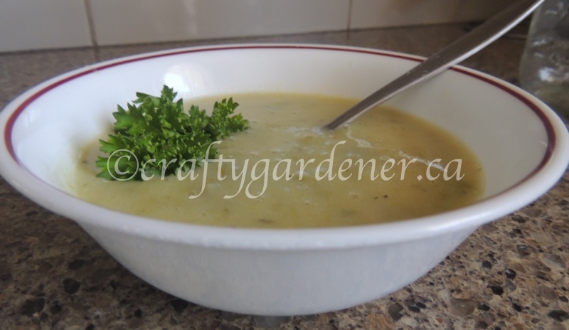 potato asparagus soup at craftygardener.ca