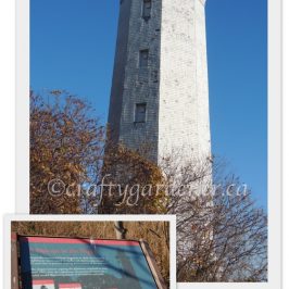 The Presqu'ile lighthouse at craftygardener.ca