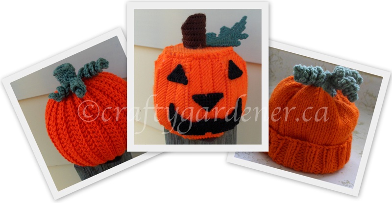 pumpkins and pumpkin hat at craftygardener.ca