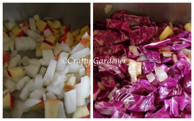 red cabbage7a