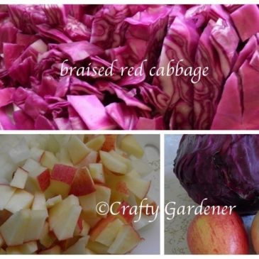 Recipe: Braised Red Cabbage