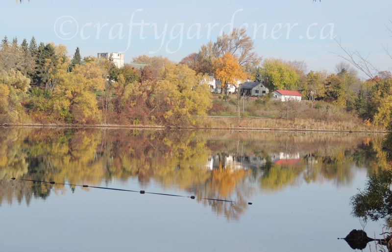 reflection in the still water at Bay of Quinte, Ontario