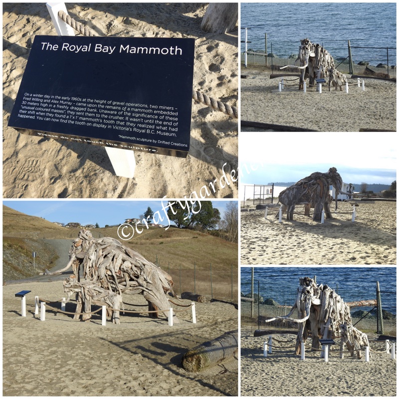 The mammoth at Royal Bay Beach in British Columbia