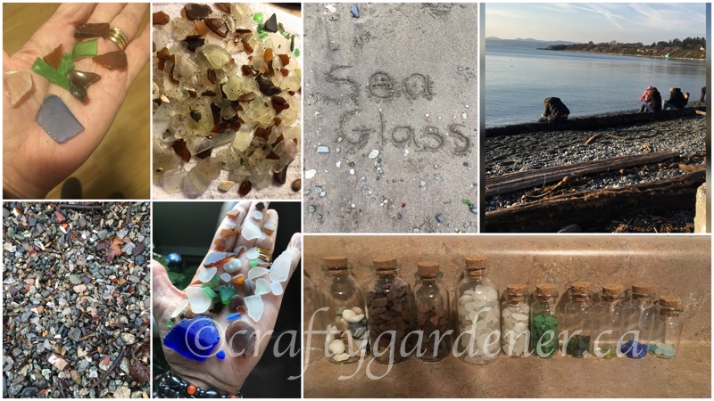 collecting sea glass at craftygardener.ca