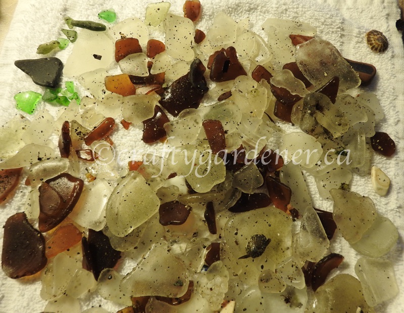 finding sea glass at the Glass Beach in Sidney, BC taken by craftygardener.ca