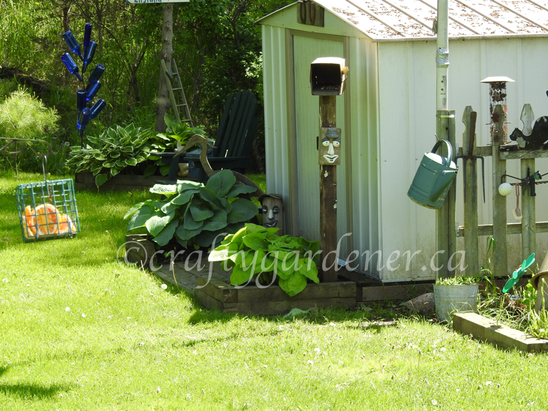 the shed garden at craftygardener.ca