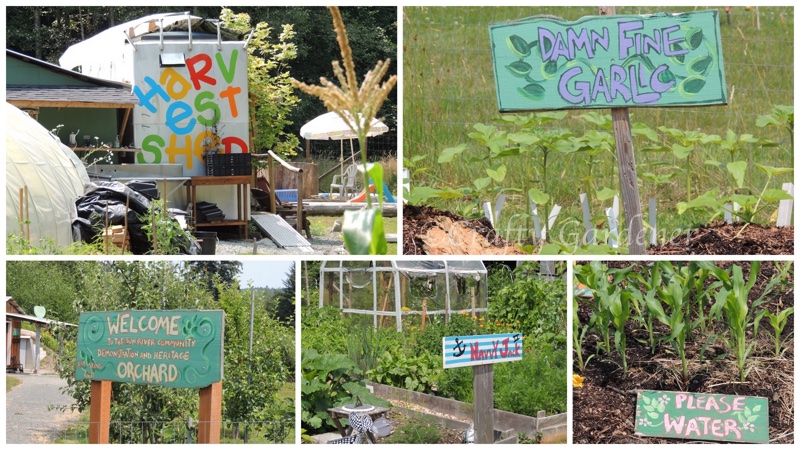 community garden signs in Sooke, British Columbia