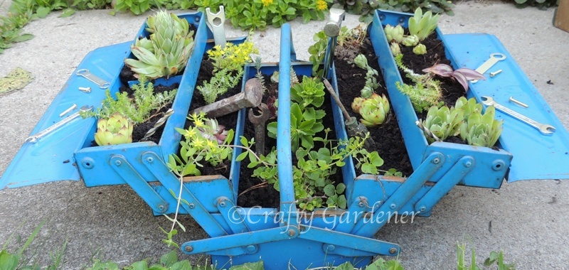 an old metal toolbox converted to a planter