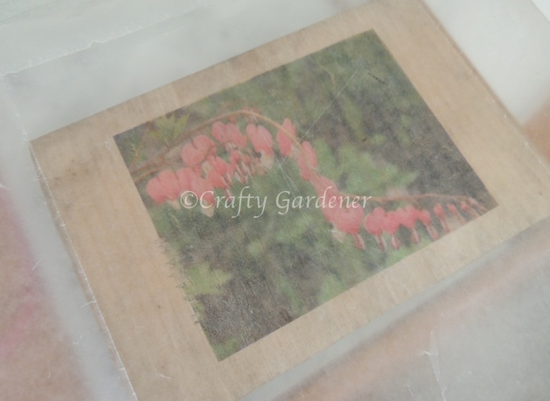 how to transfer a print image to wood at craftygardener.ca